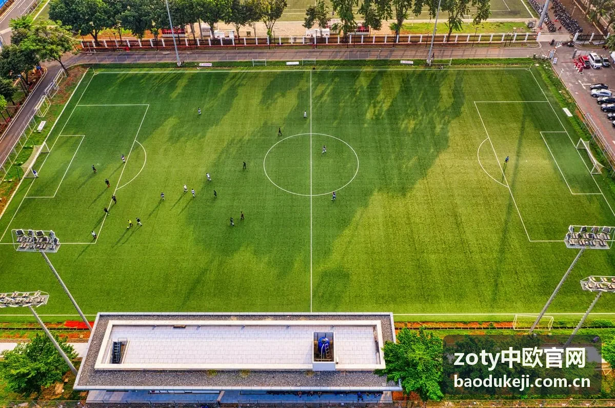 zoty中欧海运整柜拼箱服务