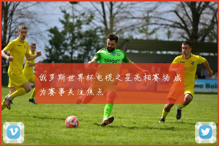 俄罗斯世界杯电视之星亮相赛场 成为赛事关注焦点
