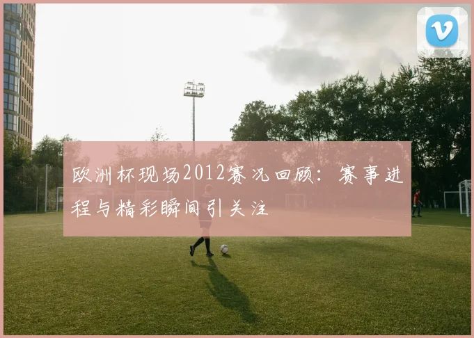 欧洲杯现场2012赛况回顾:赛事进程与精彩瞬间引关注