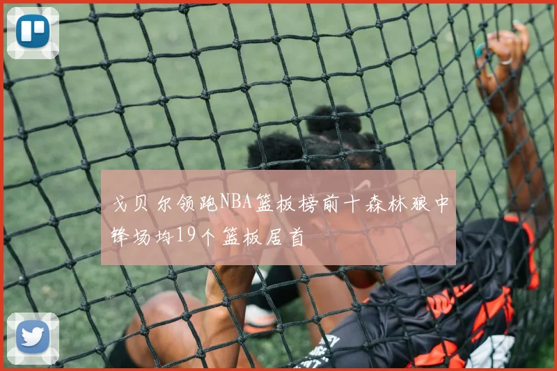 戈贝尔领跑NBA篮板榜前十森林狼中锋场均19个篮板居首