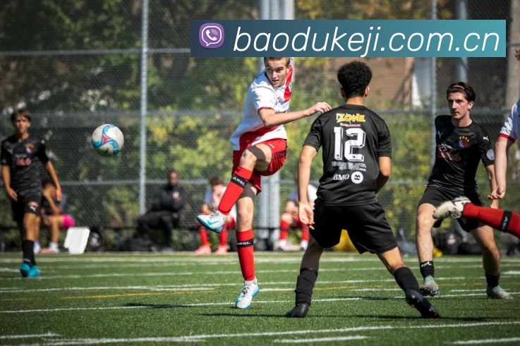 开云网页版·官方版在线 - 开云(中国)APP 封面图